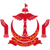 Правительство Брунея
