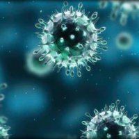 Ученые: Мутация вируса гриппа происходит для всех генов одинаково