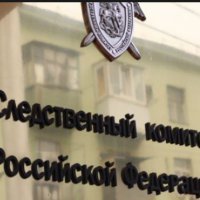 СК РФ возбудил дело по факту фальсификации подписных листов партией ПАРНАС