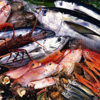 Россельхознадзор разрешит поставку рыбной продукции в Россию 200 китайским предприятиям 