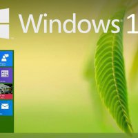 В США Windows 10 опередила Windows XP 