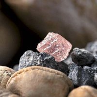 ОАО «Севералмаз» обвинил Государственный фонд драгметаллов в исчезновении крупных алмазов