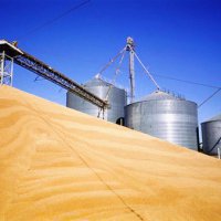 Ткачев: Россия в состоянии экспортировать до 50 млн тонн зерна ежегодно