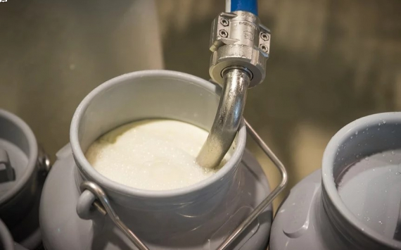 В Подмосковье запустят 9 объектов молочной промышленности