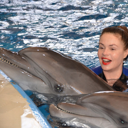 Екатерина Андреева призывает на законодательном уровне запретить держать в неволе дельфинов