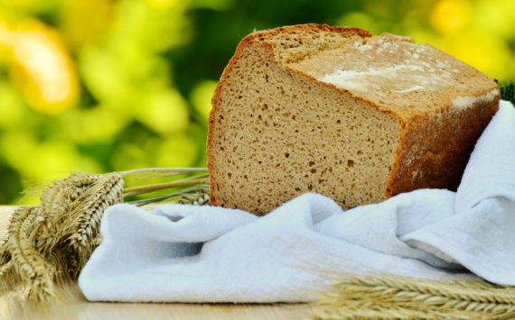 В Химках за 1 млрд рублей запустят производство хлеба и кондитерских изделий