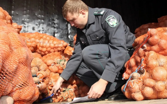 В некоторых субъектах России запретили выращивать картошку