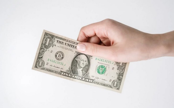 Экономит Ракша объяснил рост курса доллара высокой инфляцией