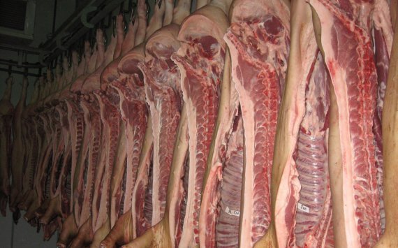 Россия начнет поставлять свинину в Китай до конца года‍
