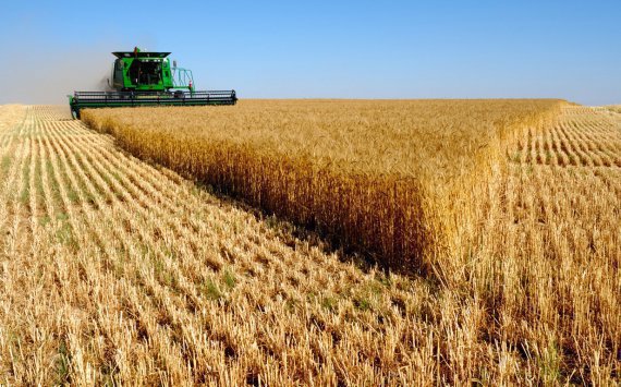 Ткачев: К 2024 году сельхозэкспорт из России вырастет более чем в 2 раза