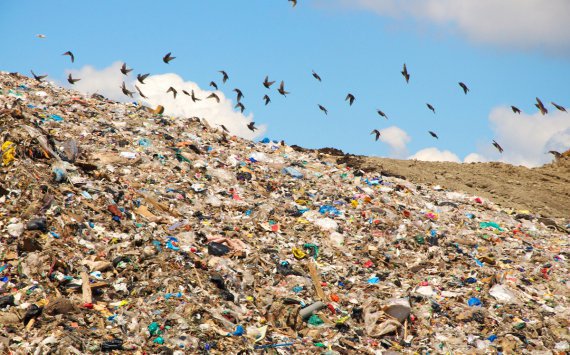 В Подмосковье на рекультивацию мусорных полигонов привлекут около 20 млрд