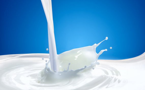 В Нижегородской области выросли объемы производства молока