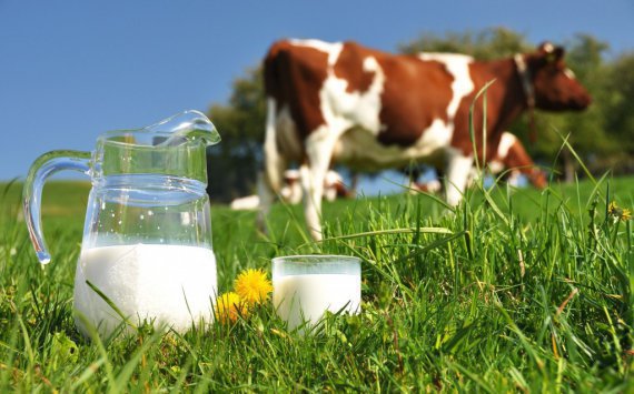 В России молоко до конца года подорожает на 20%