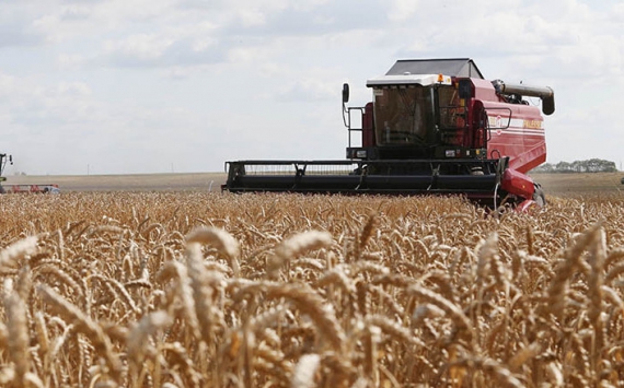 Татарстанские аграрии произвели продукции почти на 70 млрд рублей