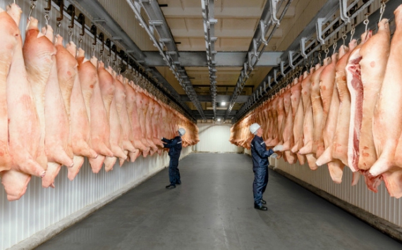 В Псковской области за полгода произведено почти 60 тысяч тонн свинины