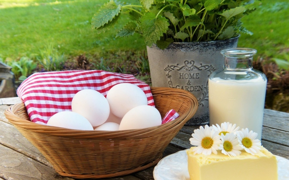 В Нижегородской области увеличилось производство молока‍ и яиц