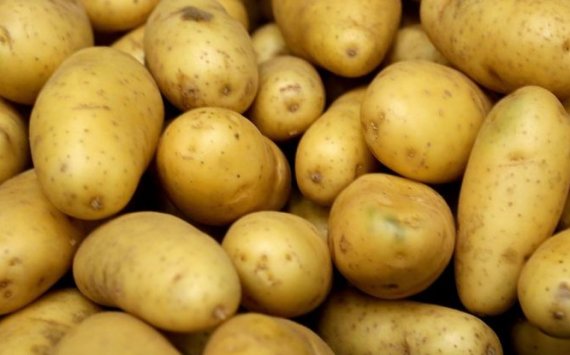 В Нижегородской области картофель подешевел на 12,2%