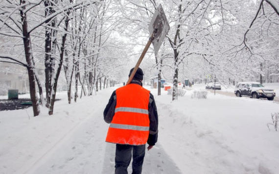 На очистку улиц Калининграда от снега выведут 460 дворников