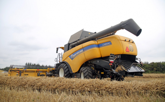 Урожаи зерновых и бобовых в Волгоградской области упали на 35%