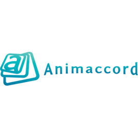 Animaccord Animation Studio (Анимаккорд)