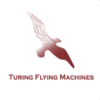 Летающие машины Тюринга (ЛМТ)