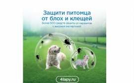Профессиональная сеть товаров для животных «Четыре лапы» запускает Программу защиты питомцев