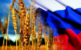 Россия и Венгрия обсудят экономическое сотрудничество в агропромышленном комплексе