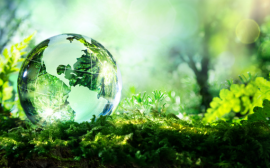 РСХБ и Росприроднадзор договорились о проведении совместных мероприятий в сфере экологии в 2023 году