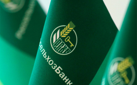 Россельхозбанк направил на поддержку сезонно – полевых работ в Московском регионе более 5 млрд рублей