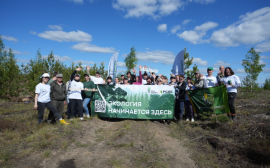 Всероссийские Дни посадки леса: Фонд «Экология» РСХБ рассказал, как внести свой вклад в сохранение лесов России