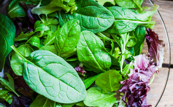 Россельхозбанк: к 2030 году сторонники здорового питания будут съедать до 11 кг зелени и салатов в год