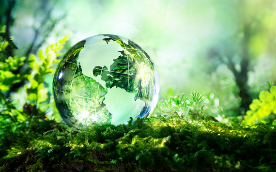 Россельхозбанк создает Фонд «Экология» для поддержки устойчивого развития АПК