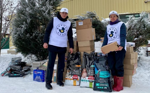 Благотворительный проект «Добрая утка» помог Кожуховскому приюту для бездомных животных