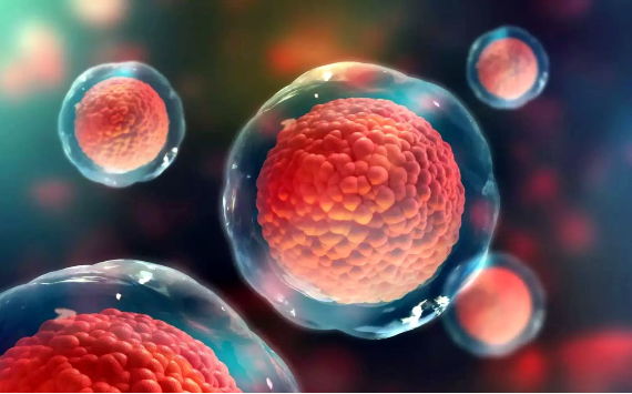 Трансплантация гемопоэтических стволовых клеток при лечении детей с онкологическими и гематологическими заболеваниями