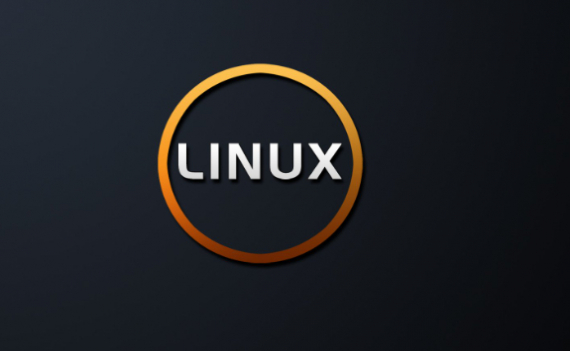 День создания операционной системы Linux