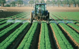 Учёные связали воздействие пестицидов с повышенным риском сердечно-сосудистых заболеваний