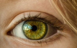 Офтальмологи назвали полезные для здоровья глаз продукты