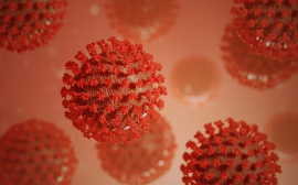Британские ученые рассказали о назальном спрее от коронавируса