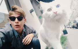 «Тяжело и больно»: любимый кот Влада Лисовца погиб после падения с крыши