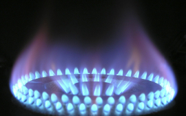 Газпром: «Мы ожидаем, что в 2021 году средняя экспортная цена на газ превысит 200 долларов»