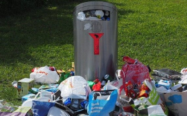 Минсельхоз вслед за Минэкономики предложил отложить мусорную реформу