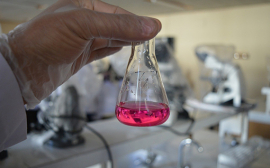 Искусственный фермент поможет определять в воде токсичный гидрохинон