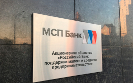 МСП Банк выдал около 10 млрд рублей экспресс-кредитов без залога по новой программе