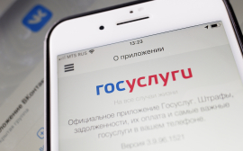 Доступ к порталу "Госуслуги" и "ВКонтакте" стал бесплатным на смартфонах