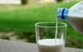 В Чехове 1,2 млрд рублей вложат в производство упаковки для молока