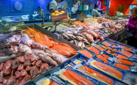 Россияне отказываются от рыбы из-за роста цен
