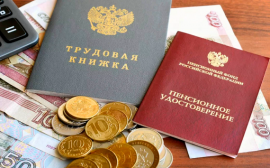 В РФ работающих пенсионеров предложили освободить от уплаты страховых взносов
