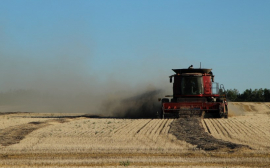 Фастова: В России с 2024 года откажутся от стимулирующей субсидии аграриям