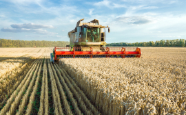Россия озвучила свое условие по экспорту зерна