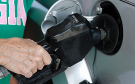 Новак хочет удержать рост цен на топливо на уровне инфляции